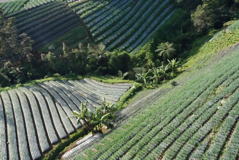 企事业单位食堂承包运营中的食品安全管控方案