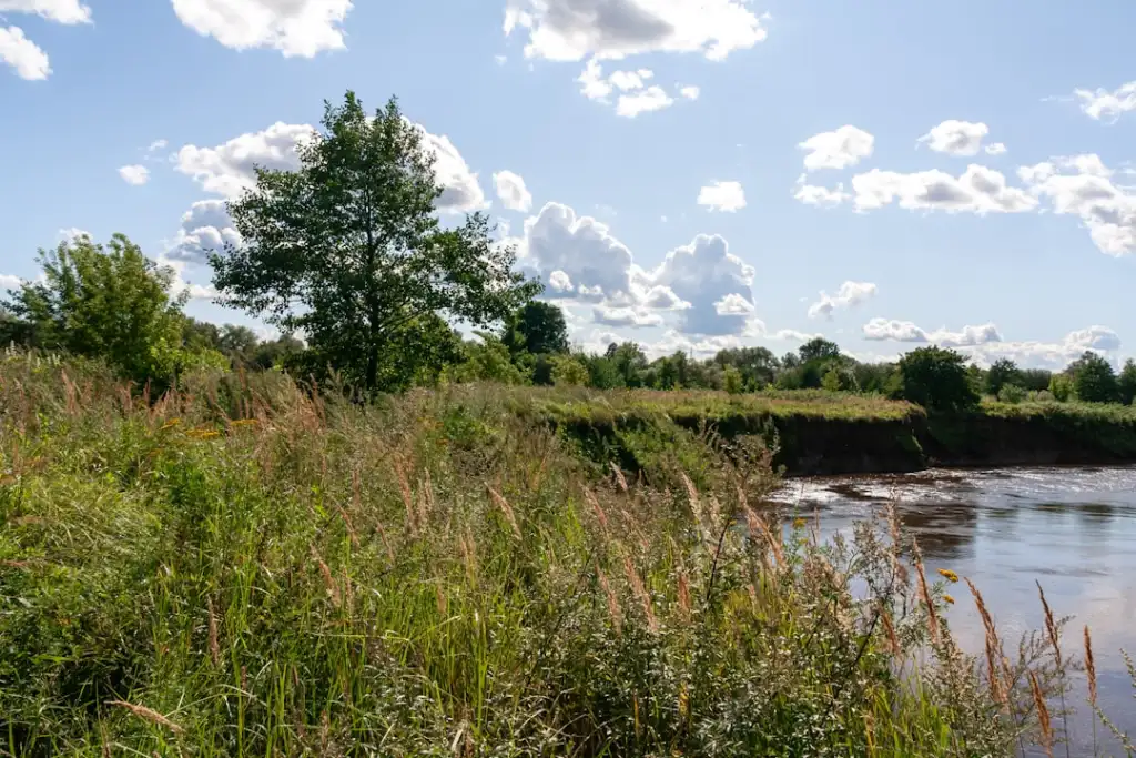 餐饮管理门店运营常见痛点及数字化解决路径